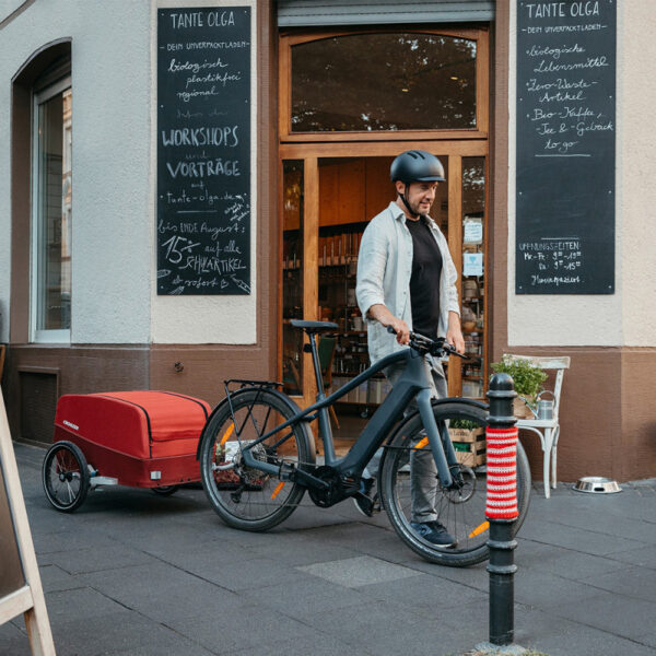 Remorque vélo multifonction Croozer Cargo Tuure – Image 6