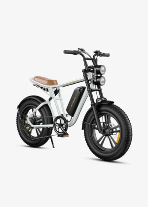 ENGWE M20 - VTT Électrique Fat Bike Tout Suspendu - Style Moto