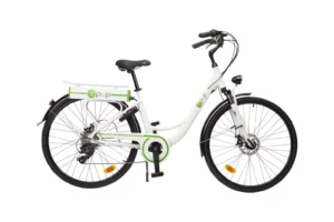 Pi-Pop Vélo électrique a assistance autonome