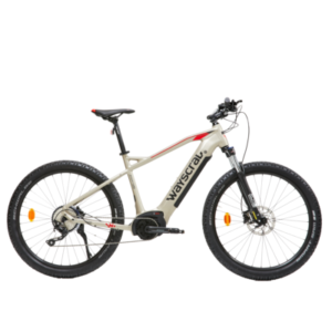 VTT électrique WAYSCRAL Anyway E450